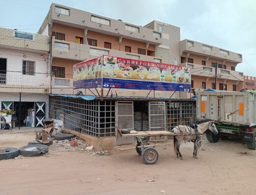 Carrefour Volaille